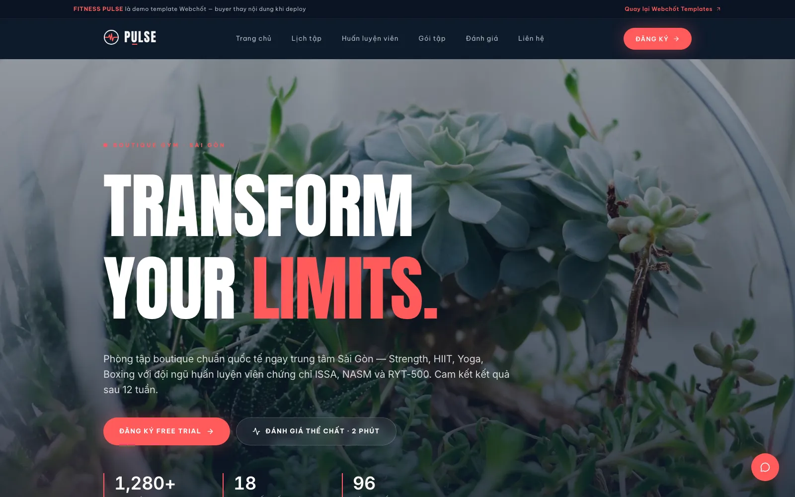 Giao diện mẫu web phòng tập